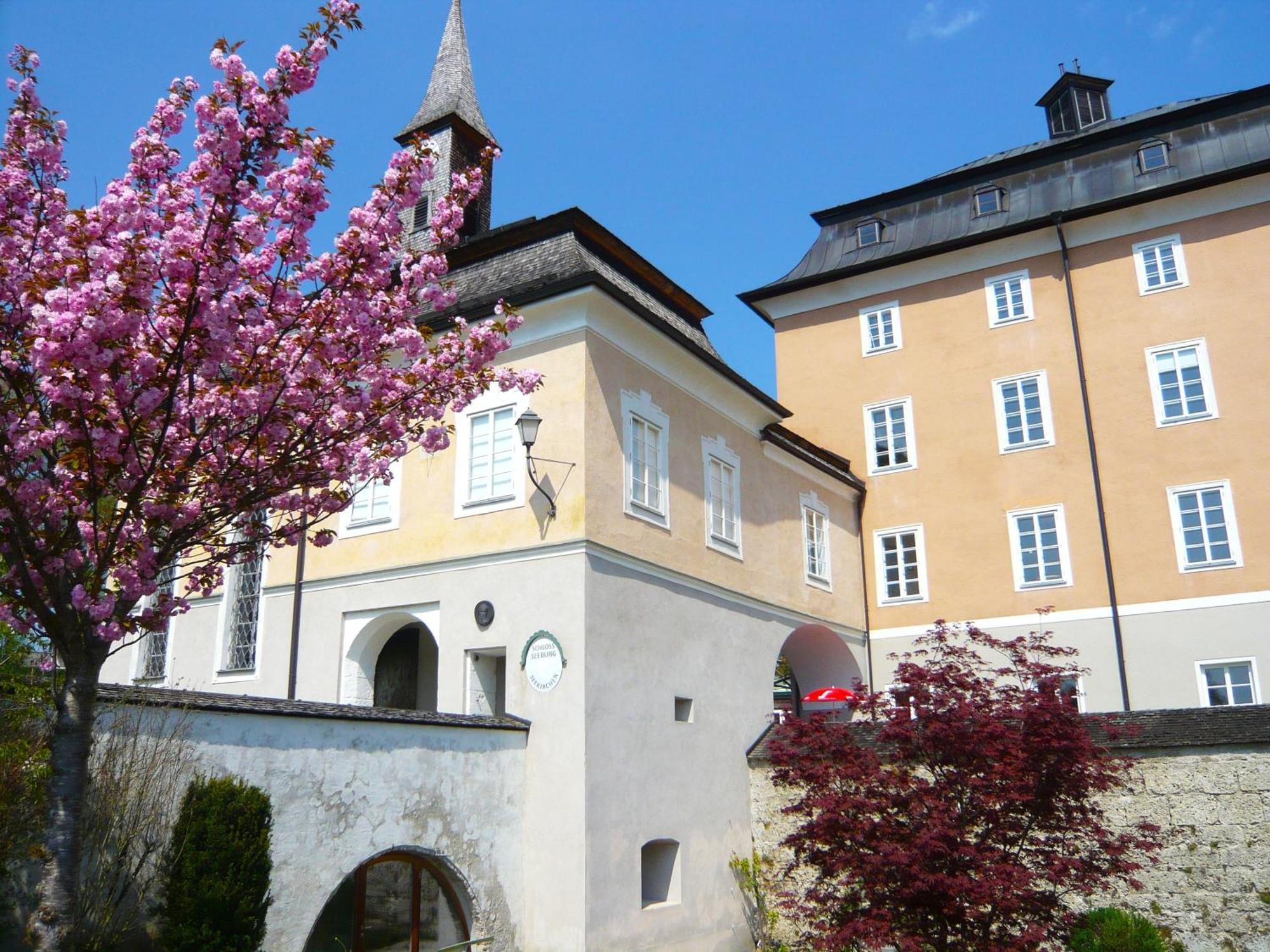 Appartement Haus Am Weinberg à Seekirchen am Wallersee Extérieur photo